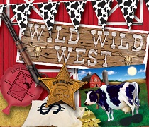 bulk western party supplies and decorations