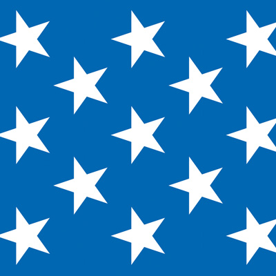 Patriotic Stars Backdrop printed on blue thin plastic material with white stars.