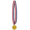 Patriotic striped ribbon with champion medal made of plastic.