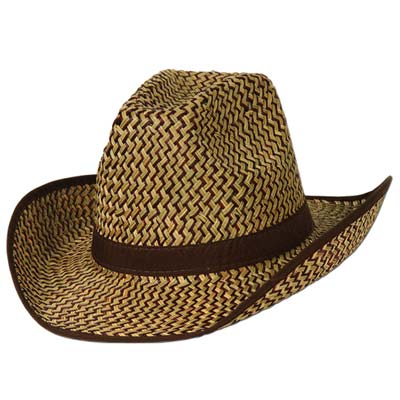 Two toned western straw hat of light brown and brown with brow band and trim.