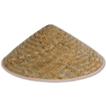 Adult sized asian sun hat.