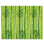 Bamboo Backdrop printed on thin plastic material.