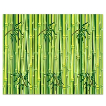 Bamboo Backdrop printed on thin plastic material.