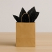 Black Tissue Paper Sheets (Pack of 96) - 50603-BK