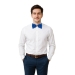 Blue Bow Tie (Pack of 12) - 66573-B