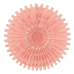 Blush Pink Tissue Fan 