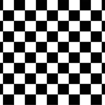 Black and white Checkered Backdrop printed on thin plastic material.