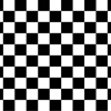 Black and white Checkered Backdrop printed on thin plastic material.