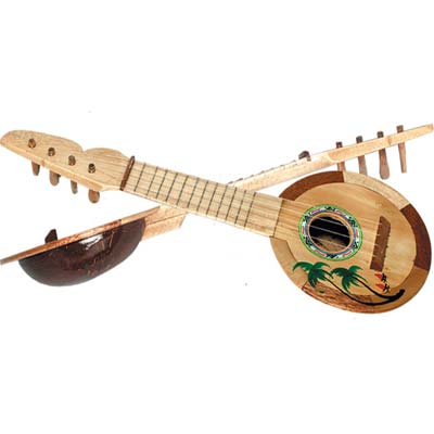 Coconut ukulele designed in great detail with strings and all.