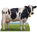 Cow Stand-Up (Pack of 4) cow stand ups, farm party decorations, barnyard party props, western theme décor, cardboard cow cutouts, photo booth props, farm animal decorations, Party Express cow stand ups, agricultural event décor, farm themed party supplies
