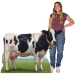 Cow Stand-Up (Pack of 4) - 56521