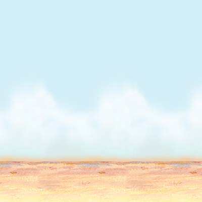 Desert Sky & Sand Backdrop printed on thin plastic material.