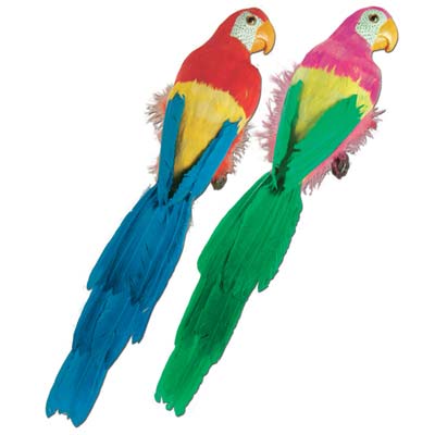 Luau decoration of multi-colored feathered parrots.