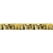Gold Metallic Fringe Banner