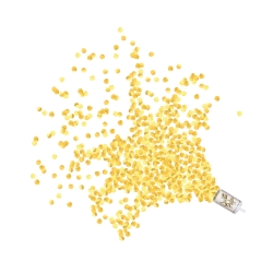Gold Confetti Poppers