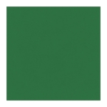 Green Tissue Paper Sheets 