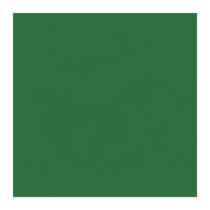 Green Tissue Paper Sheets 