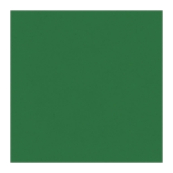 Green Tissue Paper Sheets 