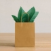 Green Tissue Paper Sheets (Pack of 96) - 50603-G