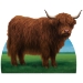 Highland Cow Stand-Up (Pack of 4) - 56534