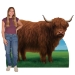 Highland Cow Stand-Up (Pack of 4) - 56534