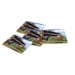 Horse Racing Drink Coaster (Pack of 96) - 53972