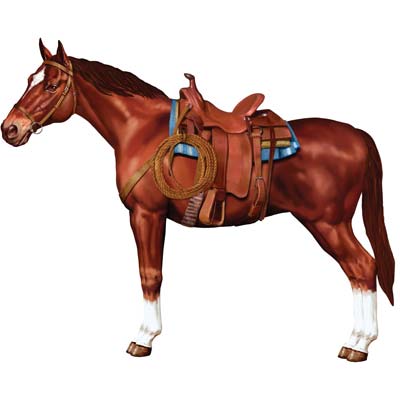 Card stock material printed to display a horse with all its riding gear.