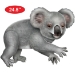 Jointed Koala (Pack of 12) - 56489