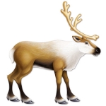 A Jointed Reindeer for a Christmas party.