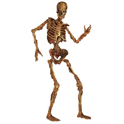 Jointed Skeleton (Pack of 12) Scary, Skeleton, jointed, halloween, monster, creepy 