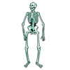 Jointed Skeleton (Pack of 12) Halloween, Skeleton, vintage, cardstock, jointed, scary