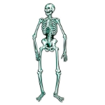Jointed Skeleton (Pack of 12) Halloween, Skeleton, vintage, cardstock, jointed, scary
