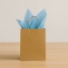 Light Blue Tissue Paper Sheets (Pack of 96) - 50603-LB