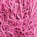 Light Pink Paper Shreds