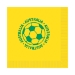 Soccer Luncheon Napkins - Australia (Pack of 192) - 58115-AUS