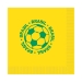 Soccer Luncheon Napkins - Brasil (Pack of 192) - 58115-BRA