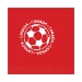 Soccer Luncheon Napkins - Canada (Pack of 192) - 58115-CAN