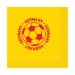 Soccer Luncheon Napkins - Germany (Pack of 192) - 58115-GER