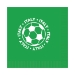 Soccer Luncheon Napkins - Italy (Pack of 192) - 58115-ITA