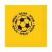 Soccer Luncheon Napkins - Spain (Pack of 192) - 58115-ESP