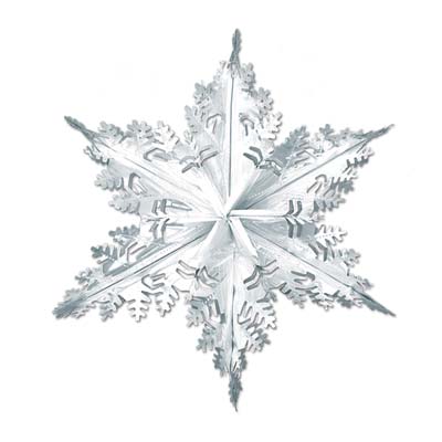 Silver Metallic Winter Snowflake for Christmas