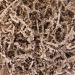 Natural Kraft Brown Paper Shreds