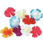 Party Color Silk 'N Petals