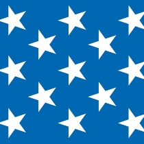 Patriotic Stars Backdrop printed on blue thin plastic material with white stars.
