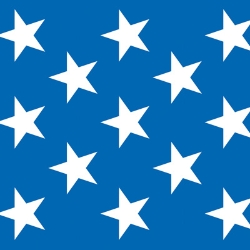 Patriotic Stars Backdrop printed on blue thin plastic material with white stars.