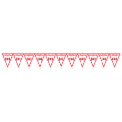 Soccer Pennant Banner - Canada (Pack of 6) Canada pennant banner, Canadian soccer banner, red white soccer décor, maple leaf decorations, soccer party supplies, all-weather pennant banner, Party Express Canada banner, international sports decorations