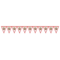 Soccer Pennant Banner - Mexico (Pack of 6) Mexico pennant banner, Mexican flag banner, soccer Mexico decorations, Mexico party supplies, Mexican themed décor, tricolor pennant banner, soccer party decorations, World Cup Mexico décor, international party supplies, Party Express Mexico banner