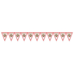 Soccer Pennant Banner - Mexico (Pack of 6) Mexico pennant banner, Mexican flag banner, soccer Mexico decorations, Mexico party supplies, Mexican themed décor, tricolor pennant banner, soccer party decorations, World Cup Mexico décor, international party supplies, Party Express Mexico banner