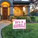 Plastic It's A Girl! Yard Sign (Pack of 6) - 53841