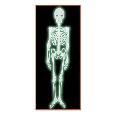 Plastic Nite-Glo Skeleton (Pack of 12) Halloween, night, glow, glow stick, skeleton. platic 